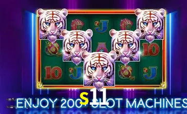 Dr. Ricardo Silva - Especialista em Live Casino